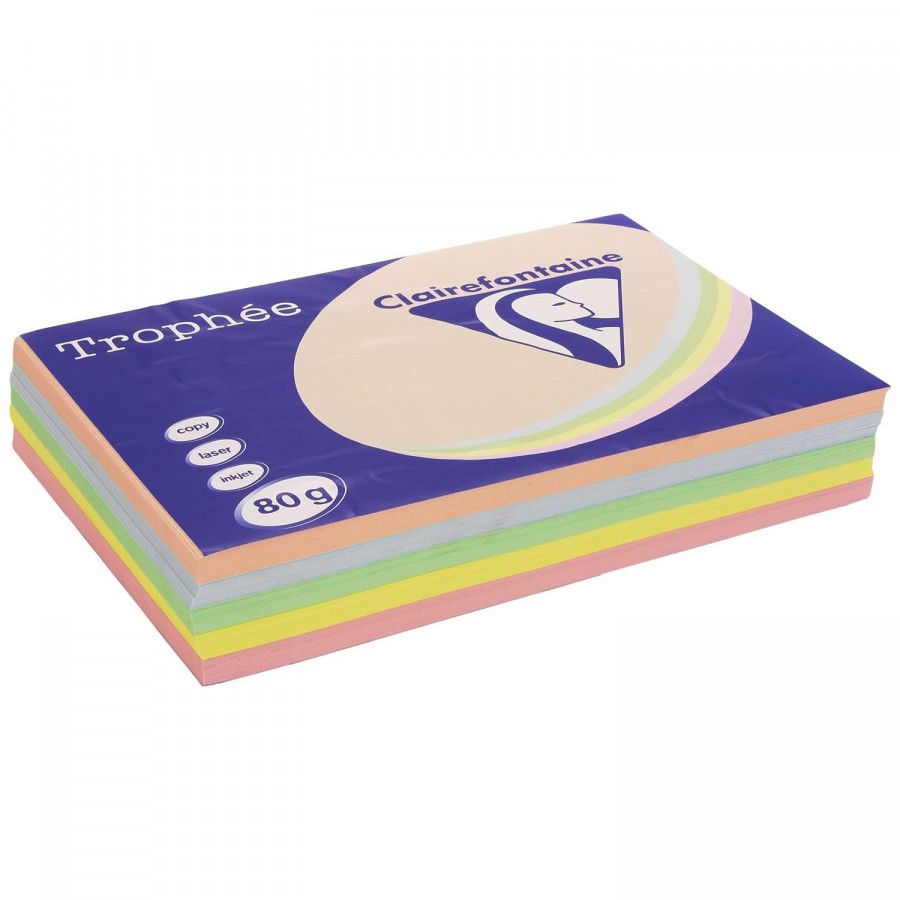 Papier Couleur Clairefontaine Violet 1786C A4 80G