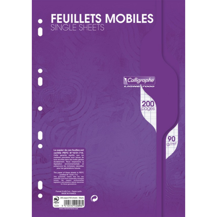 Feuillets mobiles de couleur sous étui A4 200 pages perforés grands